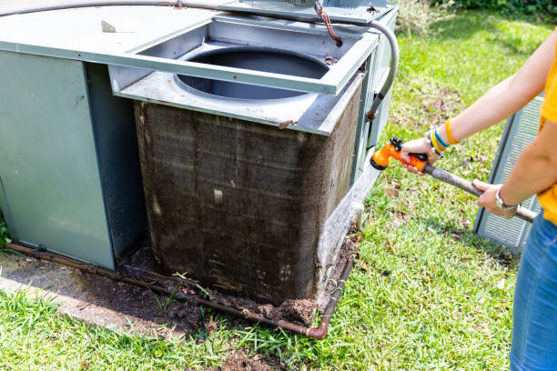 Best Home Air Vent Cleaning  in Clearwater, FL